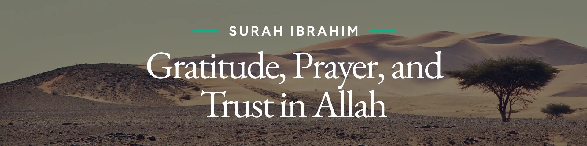 Surah Ibrahim: Gratitude, Prayer, and Trust in Allah